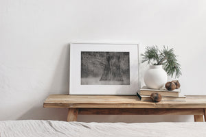 Monochrome photograph of misty swamp forest at Caddo Lake