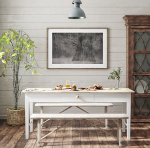 Quiet morning fog in Louisiana cypress swamp landscape