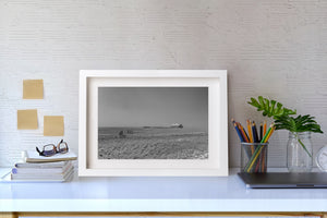 Weathered farmhouse on vast prairie farmland Nebraska countryside
