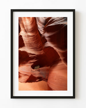 Red sandstone curves and a lone bush in Upper Antelope Canyon, Arizona