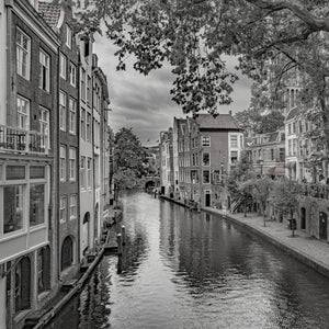 Historic brick houses reflected in a Utrecht canal beneath overhanging leaves