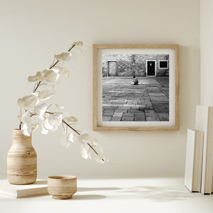 Black and white Venice photograph with a child, football and textured courtyard