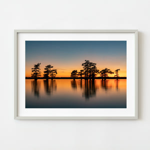 Vibrant Sky Caddo Lake Cypress Trees | Photo Art Print fine art photographic print
