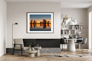 Vibrant Sky Caddo Lake Cypress Trees | Photo Art Print fine art photographic print