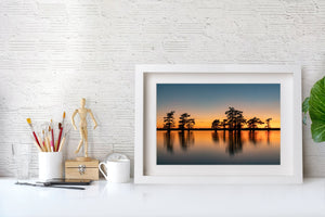 Vibrant Sky Caddo Lake Cypress Trees | Photo Art Print fine art photographic print
