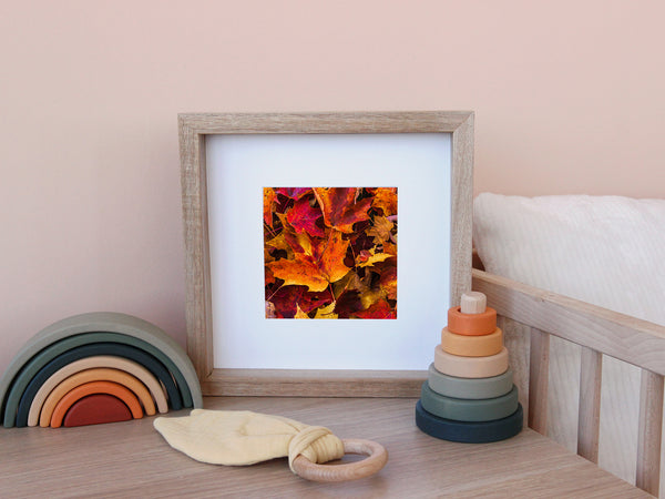 Close-up of fall leaves on forest floor