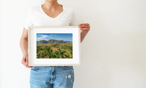 Fields and palms below rounded limestone hills in Viñales.