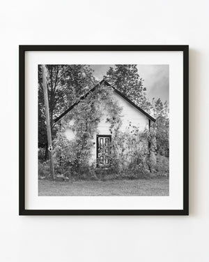 Vine-covered rural cabin with a peaked roof photographed in black and white