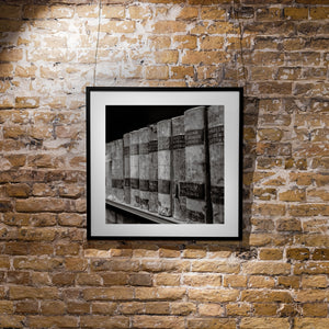 Framed black and white artwork on a brick wall