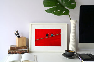 Red boat weathered by the elements