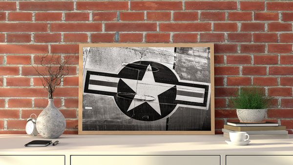 Vintage WWII USA Fighter Aircraft Insignia Detail | Wall Art