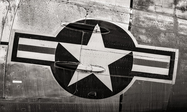 Vintage WWII USA Fighter Aircraft Insignia Detail | Wall Art