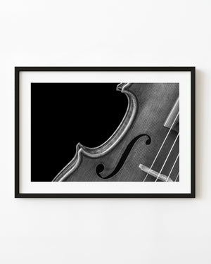 Black and white close-up of a violin curve, sound hole and strings.
