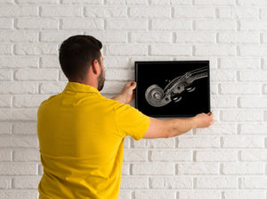 Black background violin detail wall decor