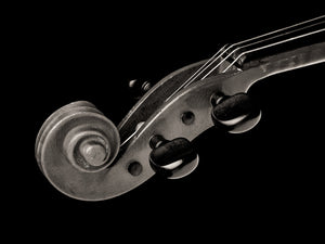 Close up of violin tuning pegs and scroll