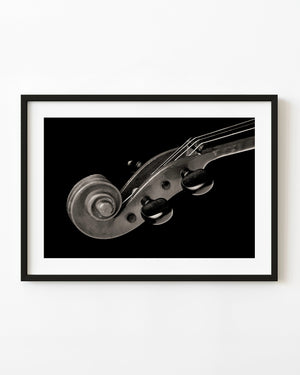 Violin scroll and tuning pegs against a black background.