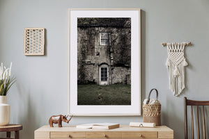 Weathered masonry and bare vines on a country house
