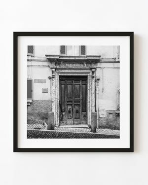 Weathered Italian wooden double door in black and white