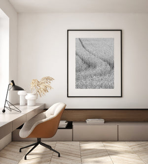 Tarweveld textuur Wandkunst
