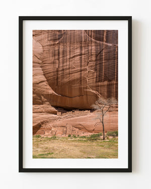 White House Ruin and a lone tree beneath a red sandstone cliff in Canyon de Chelly