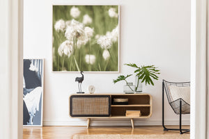 Subtle and minimalist flower wall art from a remote natural scene