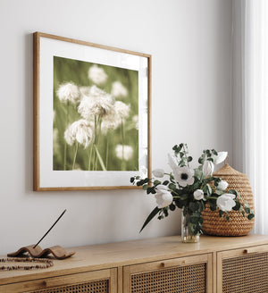 White flower in nature preserved in photographic detail and calm