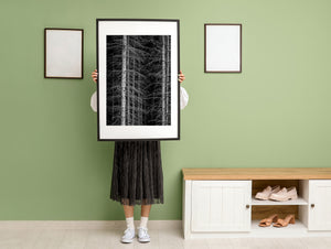 Bare branches and vertical trunks in monochrome forest scene