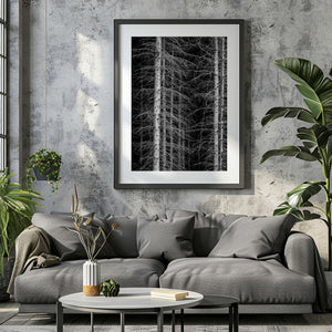 Textured tree bark and branches in black and white nature photo