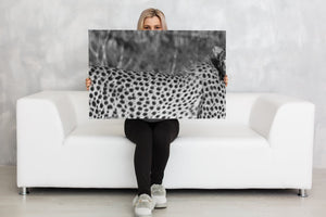 Monochrome wildlife photograph of a cheetah in Tanzania