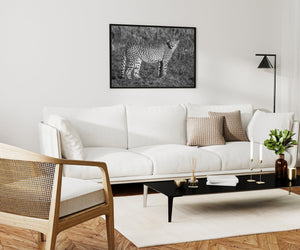 Wild Cheetah on the Grasslands | Wall Art