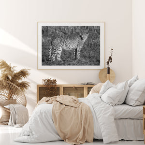 Wild Cheetah on the Grasslands | Wall Art