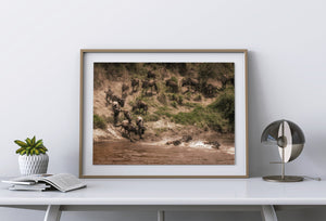 Wildebeest herd descending to water