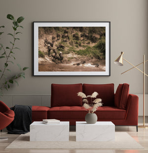 Wildlife migration river scene