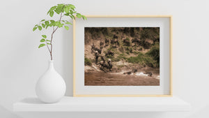 Mara River wildebeest photography print