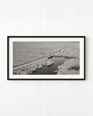 Winding boardwalk through Point Pelee marsh in black and white