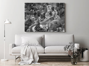 Haliburton homes and forest captured in winter light