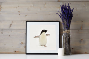 Scène antarctique enneigée avec un manchot papou debout.
