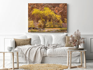 Colour landscape of autumn trees and a rocky riverbank below canyon cliffs