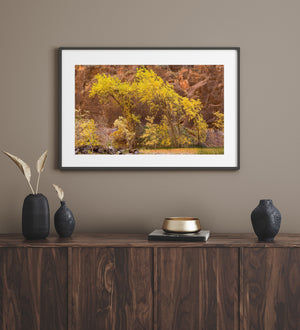 Warm fall colours along a stream beneath towering reddish canyon rock