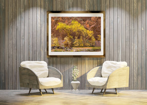Yellow autumn branches framing a rocky river and red cliff backdrop