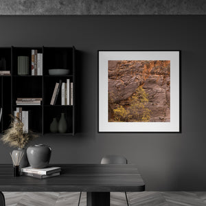 Golden tree branches set against warm brown and red canyon stone