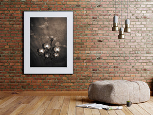 Monochrome Barcelona interior with antique chandelier
