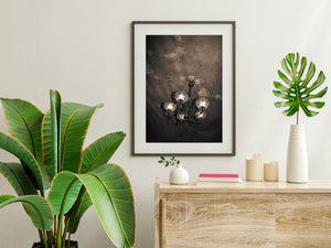 Sepia toned chandelier with dramatic ceiling shadows