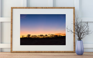 Australian Outback Sunset and Tree Silhouettes Landscape Photography