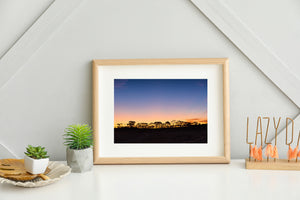 Australian Outback Sunset and Tree Silhouettes Landscape Photography