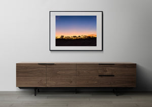 Australian Outback Sunset and Tree Silhouettes Landscape Photography