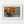 Brown Bear Eating Clams | Wall Art