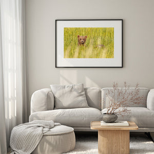 calm wall art with soft light, negative space, and balanced composition