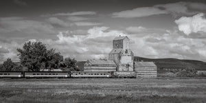 Historic Saskatchewan grain elevator with train passing in rural landscape
