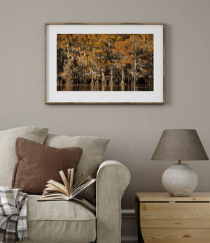 Orange Autumn Cypress Trees and Water Landscape Photography